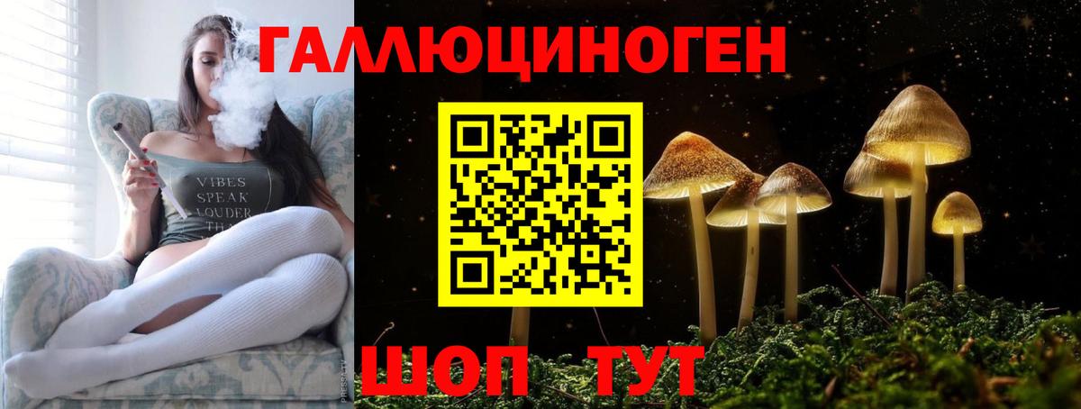Ипатово  Псилоцибиновые грибы Cubensis  Вход с VPN 